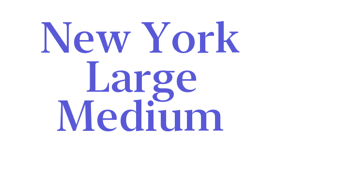 New York Large Medium Font Download