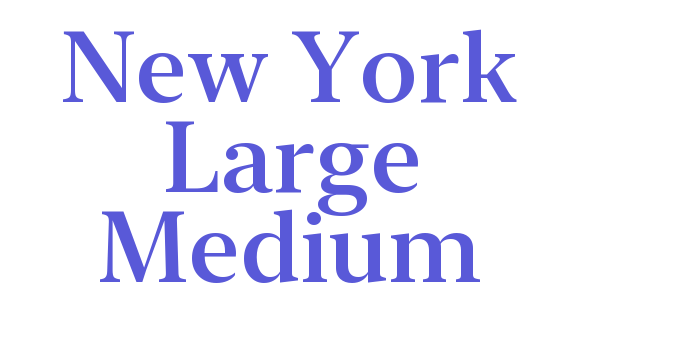 New York Large Medium Font