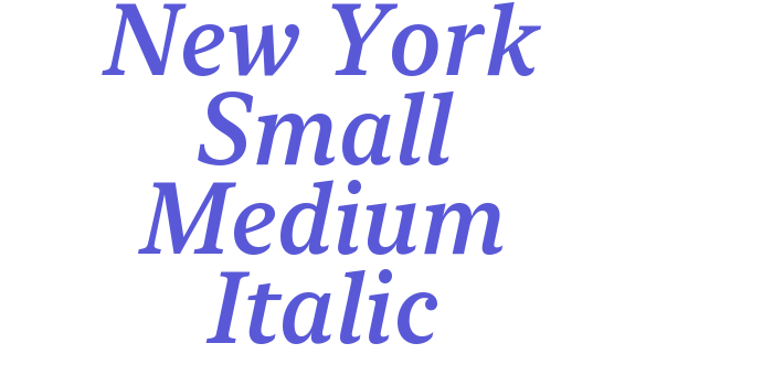 New York Small Medium Italic Font Download