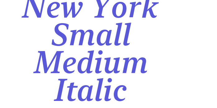 New York Small Medium Italic Font