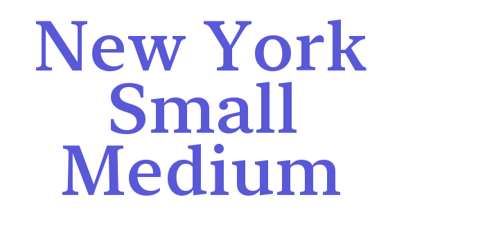 New York Small Medium Font