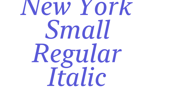 New York Small Regular Italic Font