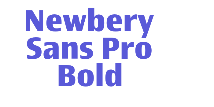 Newbery Sans Pro Bold Font