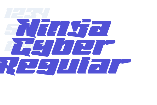 Ninja Cyber Regular
