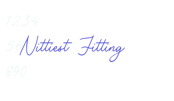 Nittiest Fitting font free