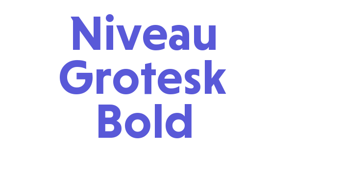 Niveau Grotesk Bold Font