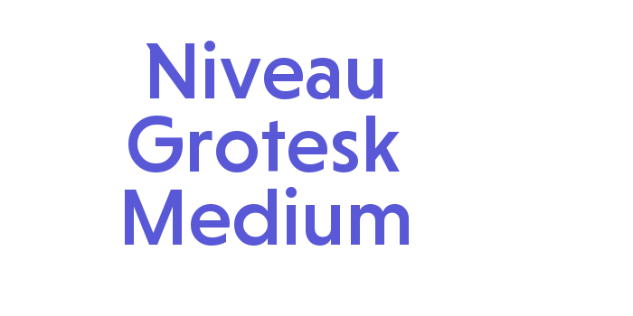 Download Niveau Grotesk Medium Font