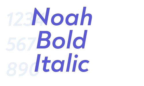 Noah Bold Italic Font Download