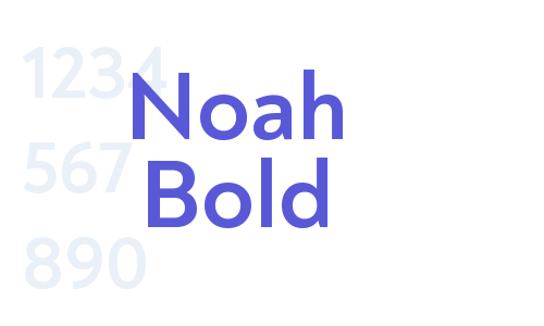 Noah Bold Font