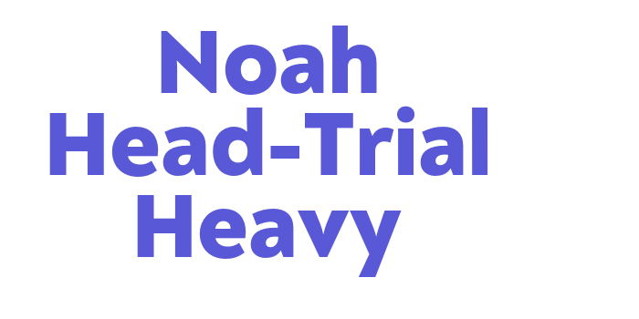 Noah Head-Trial Heavy Font