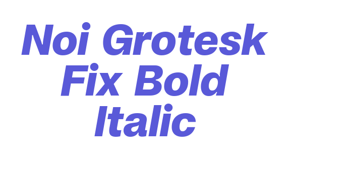 Noi Grotesk Fix Bold Italic Font Download