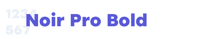 Noir Pro Bold-related font