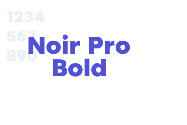 Noir Pro Bold