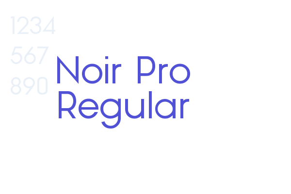 Noir Pro Regular