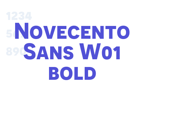 Novecento Sans W01 bold