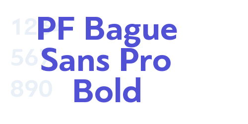 PF Bague Sans Pro Bold