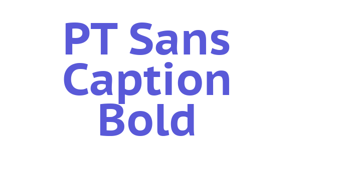 PT Sans Caption Bold Font Download