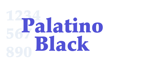 Palatino Black-font-download