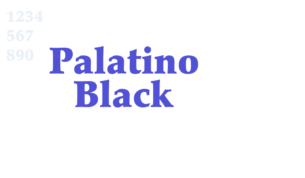 Palatino Black-font-download