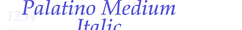 Palatino Medium Italic-font