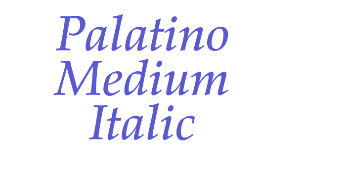 Palatino Medium Italic Font