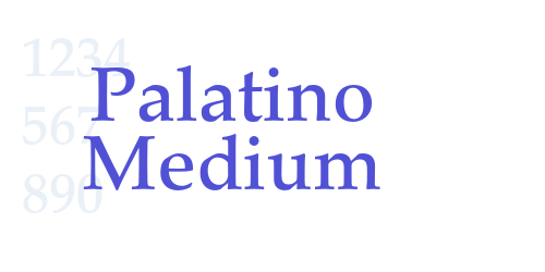 Palatino Medium-font-download