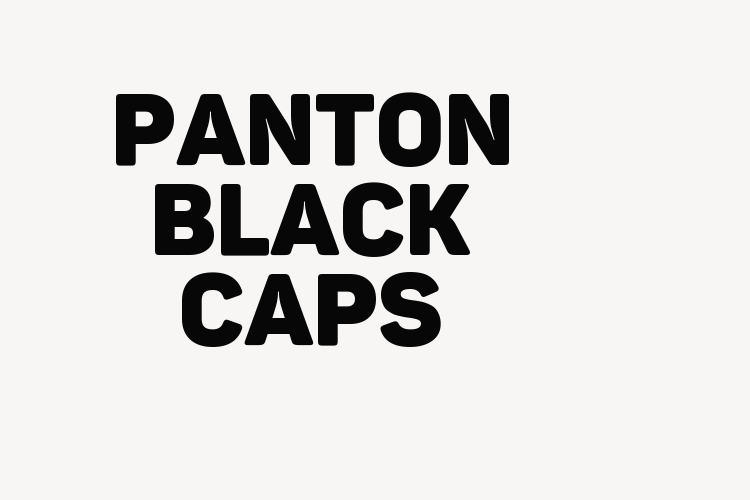 Panton Black Caps font download