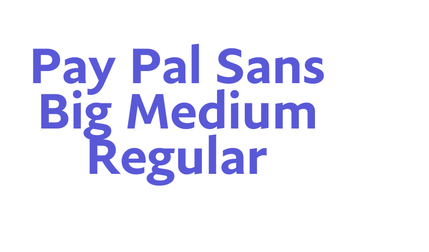 Pay Pal Sans Big Medium Regular Font Download