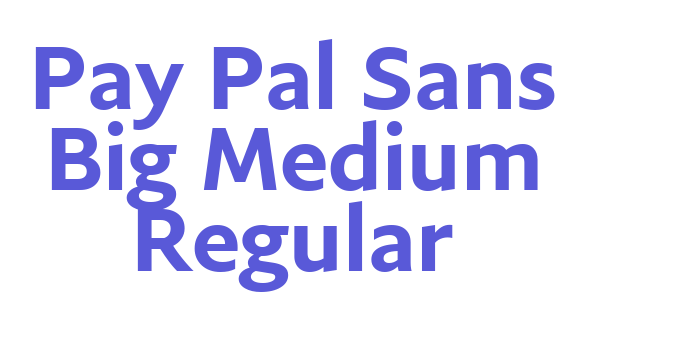 Pay Pal Sans Big Medium Regular Font Download