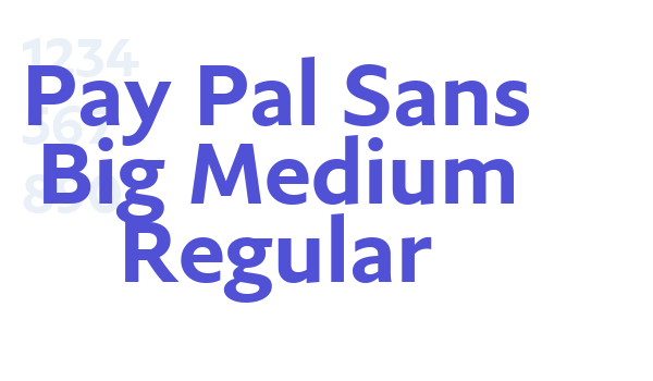 Pay Pal Sans Big Medium Regular font download