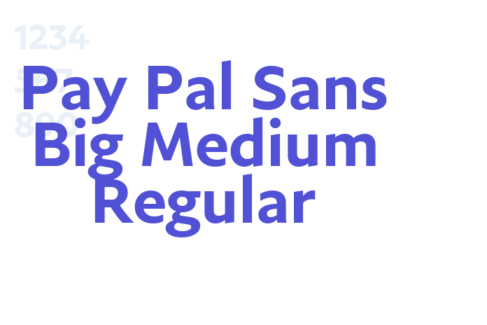 Pay Pal Sans Big Medium Regular font download