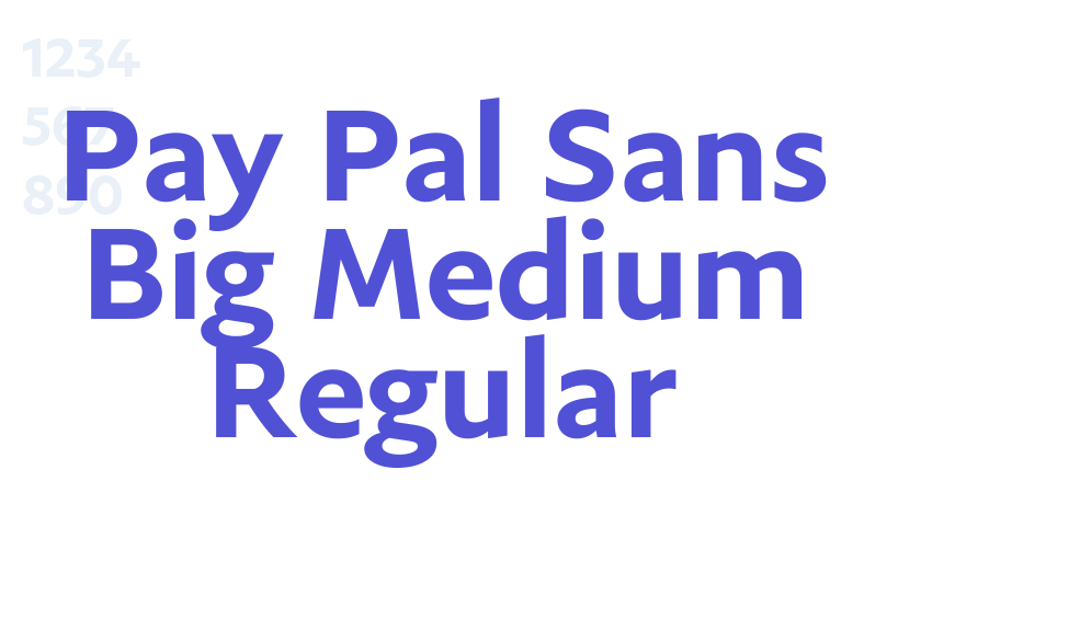 Pay Pal Sans Big Medium Regular-font-download