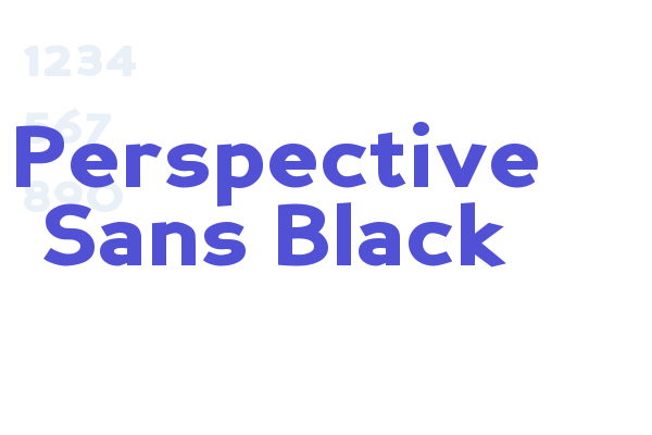 Perspective Sans Black