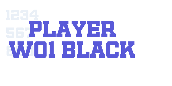 Player W01 Black font free