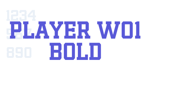 Player W01 Bold font free