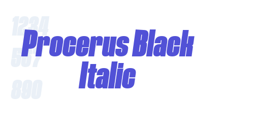 Procerus Black Italic-font-download