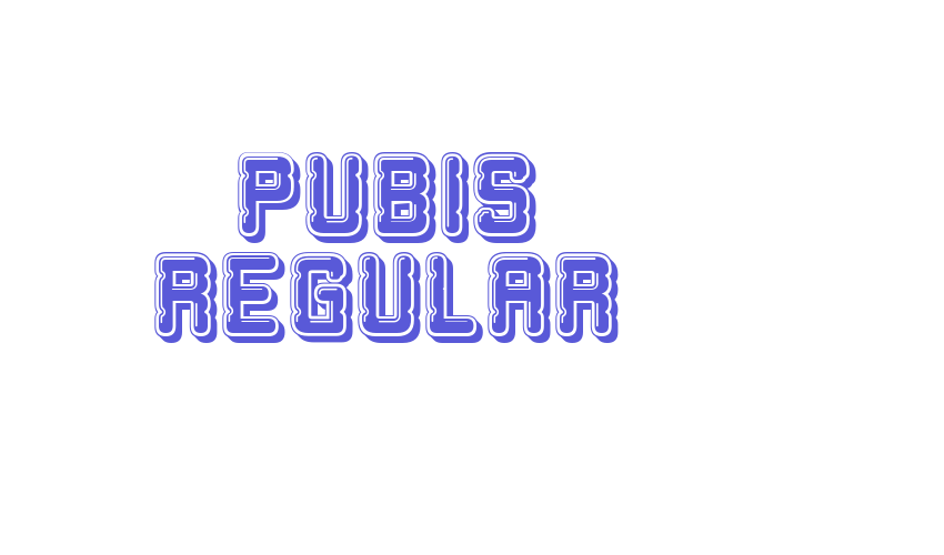 Pubis Regular Font Download