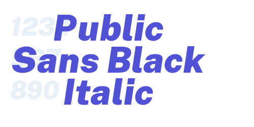 Public Sans Black Italic