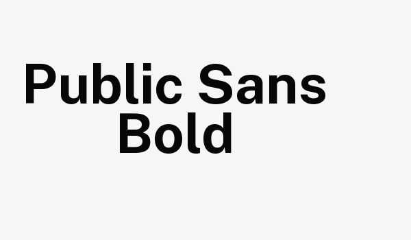 Public Sans Bold Font