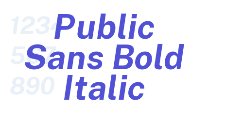 Public Sans Bold Italic-font-download