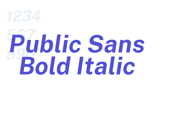 Public Sans Bold Italic