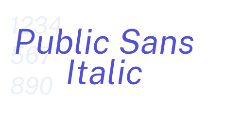 Public Sans Italic