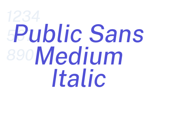 Public Sans Medium Italic