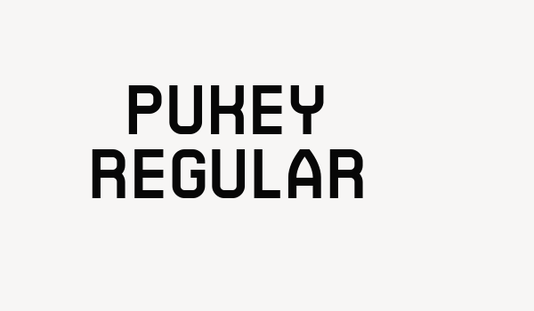 Pukey Regular Font