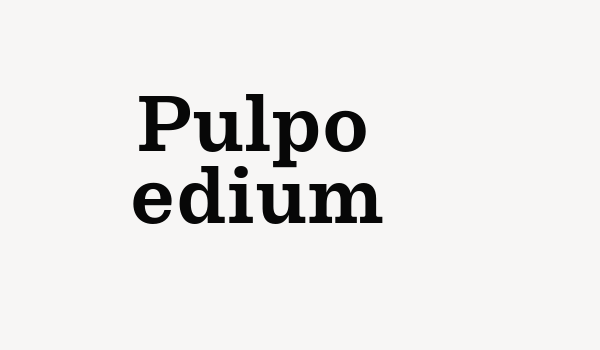 Pulpo Medium Font