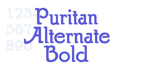 Puritan Alternate Bold font free