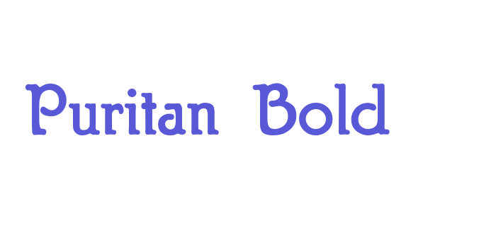 Puritan Bold Font Download