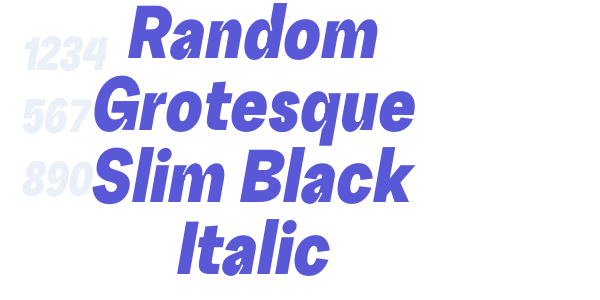 Random Grotesque Slim Black Italic font free