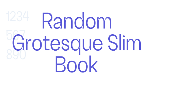 Random Grotesque Slim Book font free