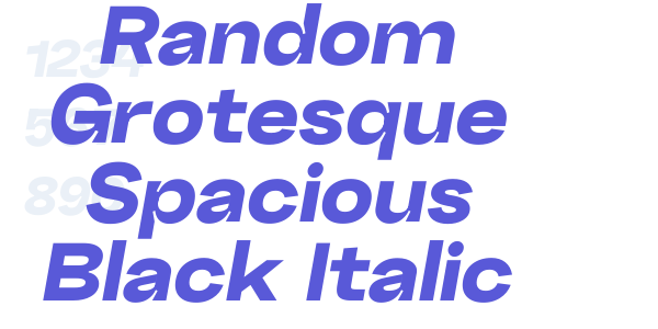 Random Grotesque Spacious Black Italic font free